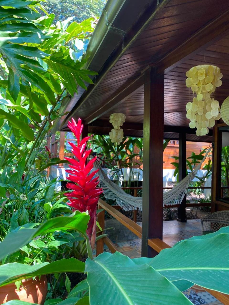 Aratinga Inn Abraão Dış mekan fotoğraf
