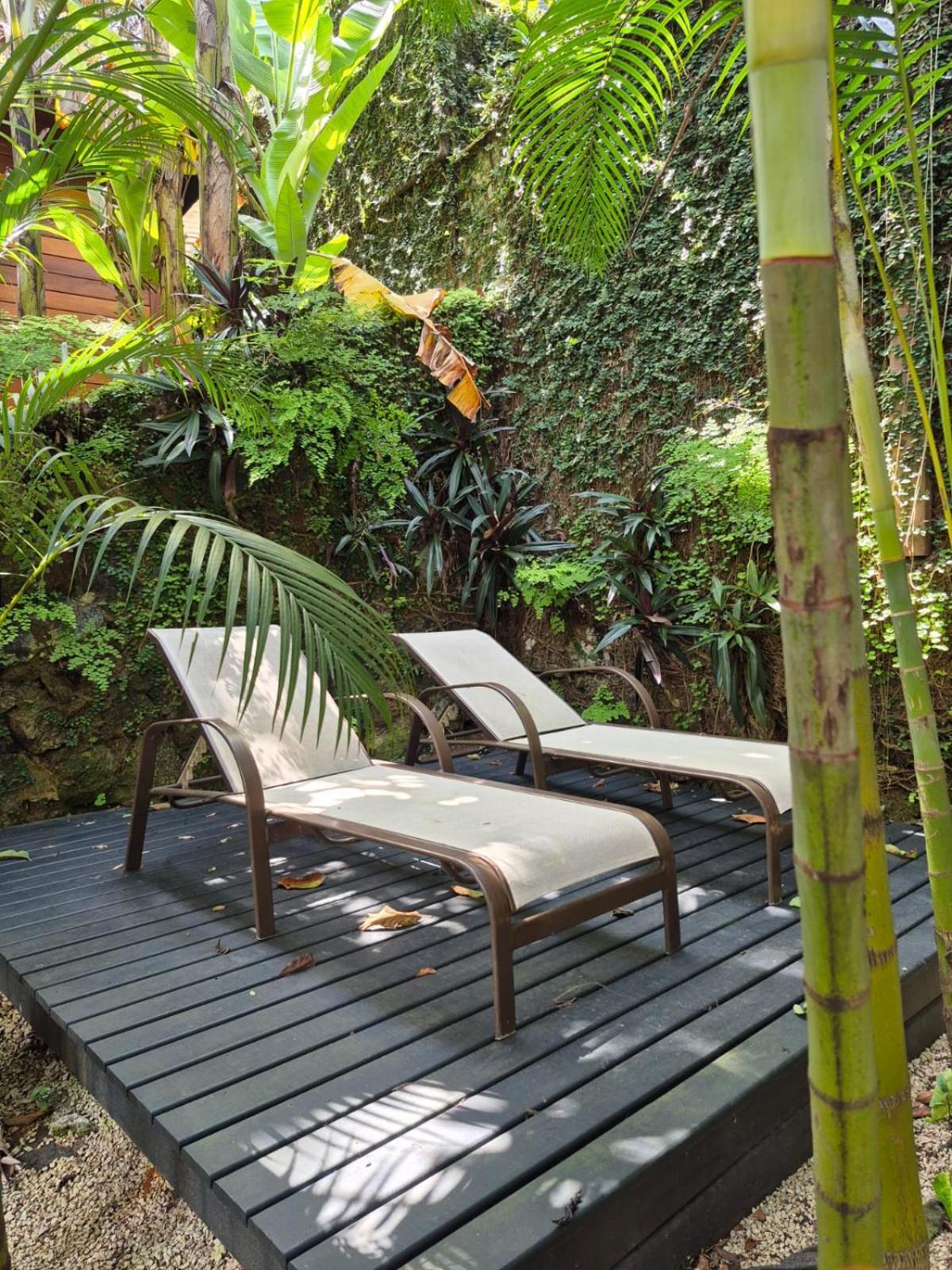 Aratinga Inn Abraão Dış mekan fotoğraf